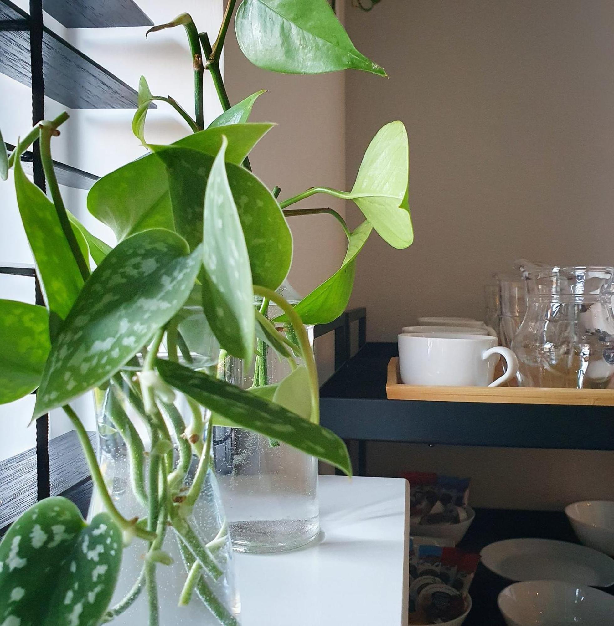 Bed And Breakfast 'Wij En De Zande' - Kamer Met Vide Kamperveen Ngoại thất bức ảnh